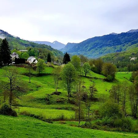 Independant Dans Demeure Typique D'exception * Saint-Vincent-de-Salers